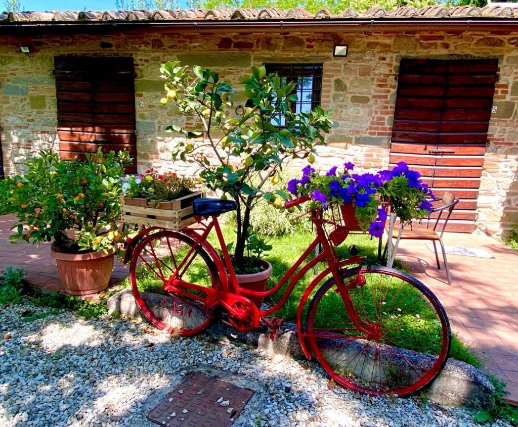 Agriturismo Stazione Di Monta Vicchio Exterior foto